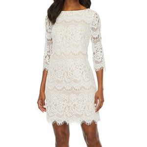 NWT Jessica Howard Allover Lace Shift Ivory Beige